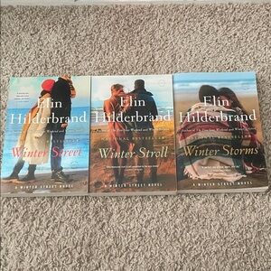 Elin Hilderbrand Winter Street Series Books